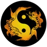 Akupunktur Assistent icon