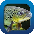 Heintges Angelschein Trainer icon