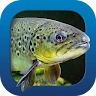 Heintges Angelschein Trainer icon