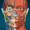 Anatomy Learning - 3D Anatomy icon