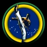 Capo Era (Aprenda Capoeira) icon