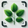 Planten Herkennen - Plantio icon