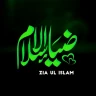 Zia Ul Islam: Quran & Hadith icon