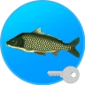 Реальная Рыбалка (ключ) icon