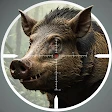 Animal Hunter: Wild Shooting icon