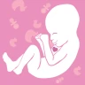 Mon Battement de Coeur de Bébé icon