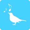 Amsel - Stimmbildung icon