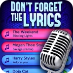 Don't Forget the Lyrics icon
