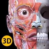 Anatomi 3D Atlası icon