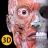 Anatomia - Atlante 3D icon
