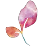 Minha Gravidez por Paula icon