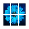 Imprimir pôster icon