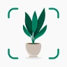 Plantify: Plante Identifiant icon