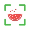 NutriPic: Contador de calorias icon