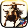Bull Riding Challenge 4
