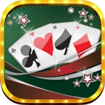 Buraco Pro HD icon