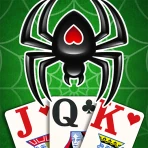Spider Solitaire icon