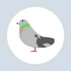 ポイポイはと icon