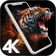 4K壁紙 - HD背景 icon