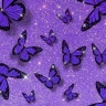 Papel de Parede Roxo icon