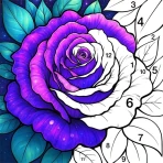 塗り絵ブック icon
