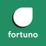 Fortuno: Finanças Pessoais icon