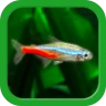 熱帯魚育成「ミニアクア」癒しのアクアリウム体験 icon