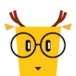 LingoDeer: Sprachen lernen icon
