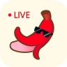 Gozar chat por vídeo ao vivo icon
