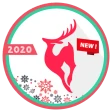 Christmas Icon Pack icon