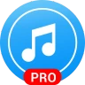 Player de música - versão paga icon