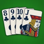 Gin Rummy Classic icon