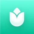 PlantIn plantes reconnaissance icon