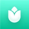 PlantIn plantes reconnaissance icon