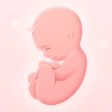 私の妊娠生活：週ごとの妊娠記録 icon