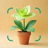 Reconnaitre Fleurs et Plantes icon