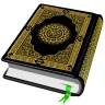 Al Quran Kareem 16 Regels icon