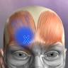 Muskel Triggerpunkte Anatomie icon