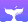 Rocnovel icon