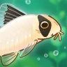 Pondlife — Fish, Frogs & More! icon