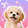 Stickify: Sticker Maker icon