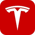 Tesla icon