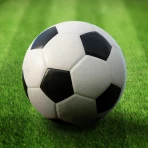 Liga der Welt icon