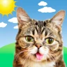 Weather BUB icon