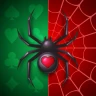 Rétro Spider Solitaire icon