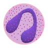 WBC Counter icon