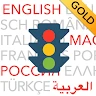 Führerschein 2025 GOLD icon