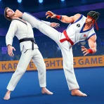 Karate lutando kung fu jogo icon