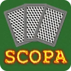 Scopa icon