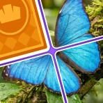 Jigsaw Drop: Solitaire Puzzle icon